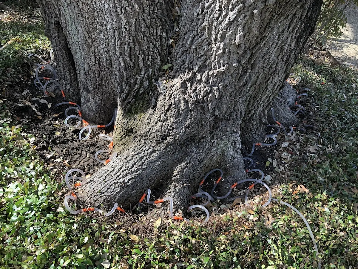 Detailed Shrub and Hedge Trimming job site in Honor